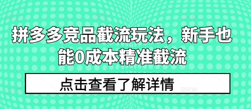 拼多多竞品截流玩法，新手也能0成本精准截流-网赚36计