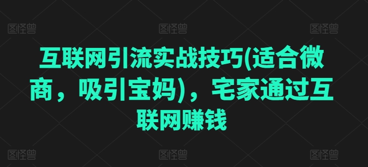 互联网引流实战技巧(适合微商，吸引宝妈)，宅家通过互联网赚钱-网赚36计
