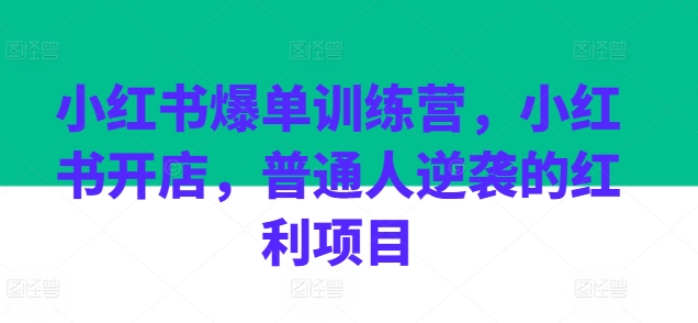 小红书爆单训练营，小红书开店，普通人逆袭的红利项目-网赚36计