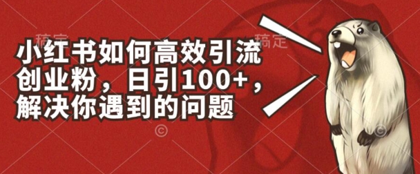 小红书如何高效引流创业粉，日引100+，解决你遇到的问题【揭秘】-网赚36计