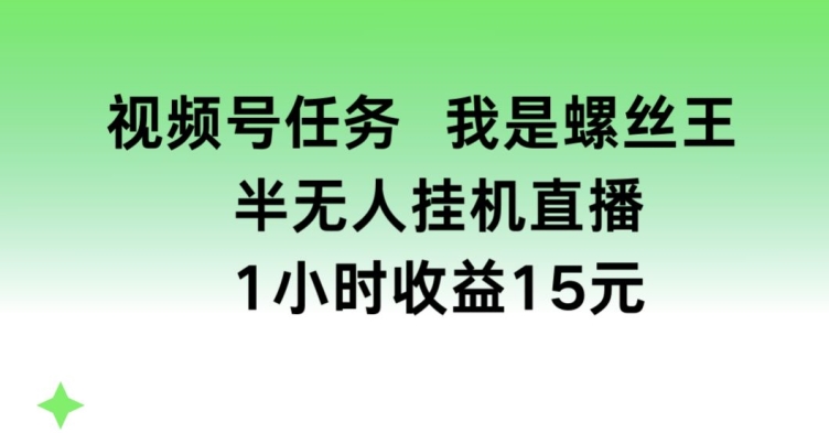 视频号任务，我是螺丝王， 半无人挂机1小时收益15元【揭秘】-网赚36计