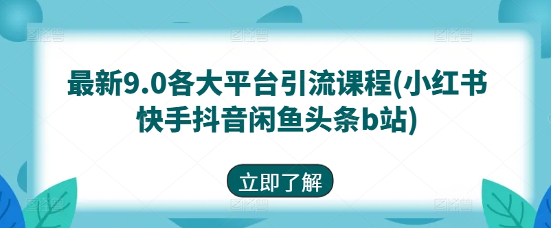 最新9.0各大平台引流课程(小红书快手抖音闲鱼头条b站)-网赚36计