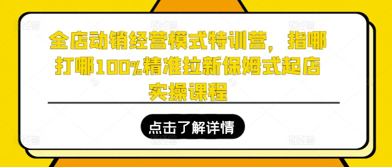 全店动销经营模式特训营，指哪打哪100%精准拉新保姆式起店实操课程-网赚36计