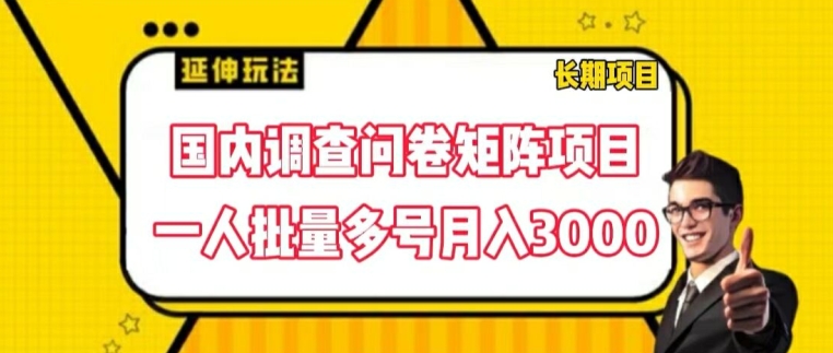 国内调查问卷矩阵项目，一人批量多号月入3000【揭秘】-网赚36计