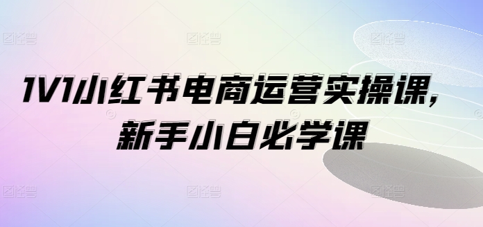 1V1小红书电商运营实操课，新手小白必学课-网赚36计