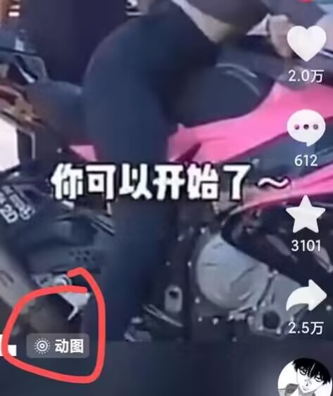 2024年7月苹果手机动图搬运技术-网赚36计