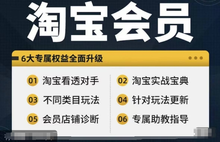 淘宝会员【淘宝所有课程，全面分析对手】，初级到高手全系实战宝典-网赚36计