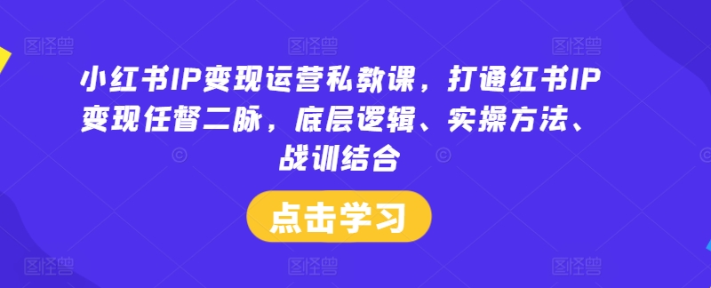 小红书IP变现运营私教课，打通红书IP变现任督二脉，底层逻辑、实操方法、战训结合-网赚36计