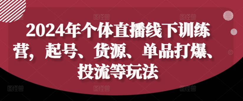 2024年个体直播训练营，起号、货源、单品打爆、投流等玩法-网赚36计