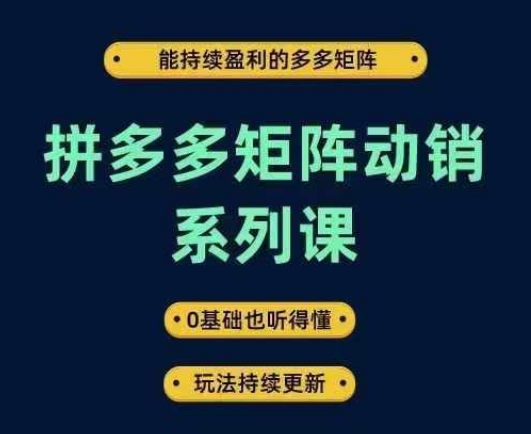 拼多多矩阵动销系列课，能持续盈利的多多矩阵，0基础也听得懂，玩法持续更新-网赚36计