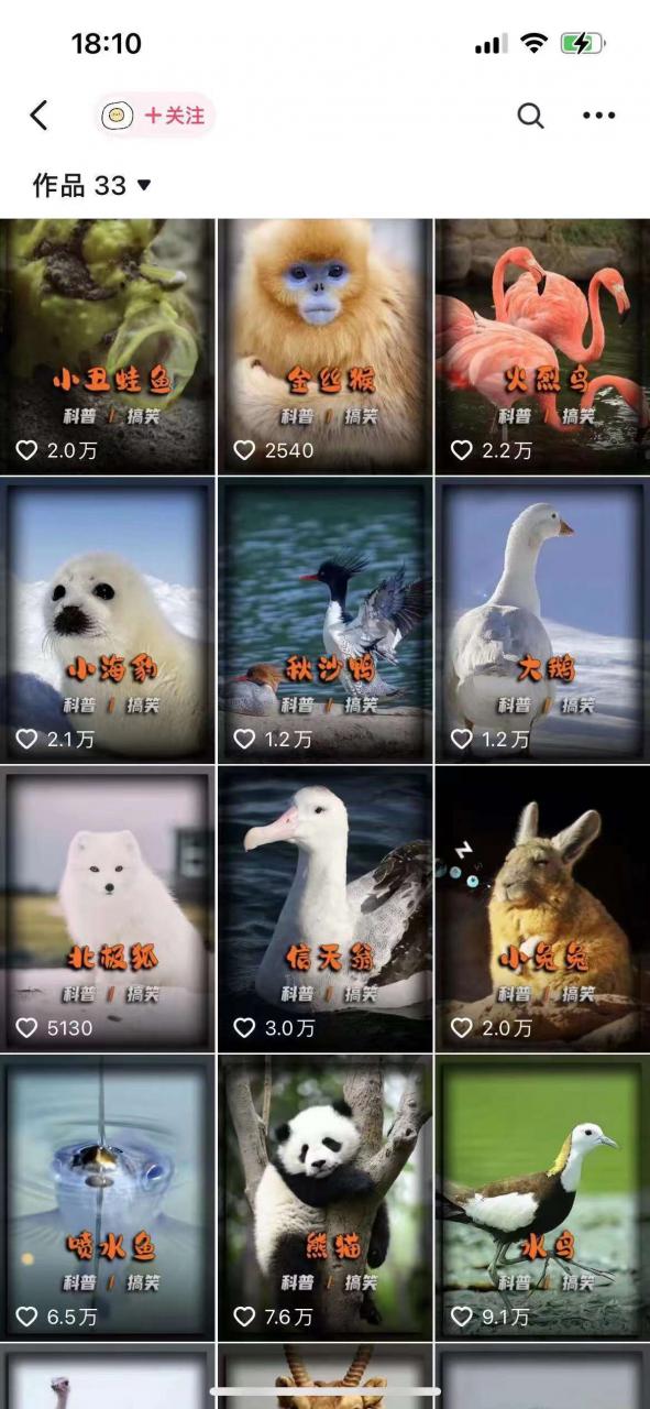 动物科普解说项目，撸创作者伙伴计划收益，保姆级实战教程-网赚36计