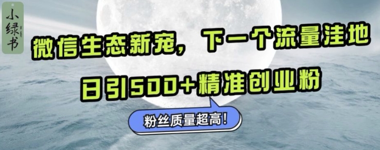 微信生态新宠小绿书：下一个流量洼地，日引500+精准创业粉，粉丝质量超高-网赚36计