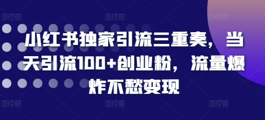 小红书独家引流三重奏,当天引流100+创业粉,流量爆炸不愁变现【揭秘】