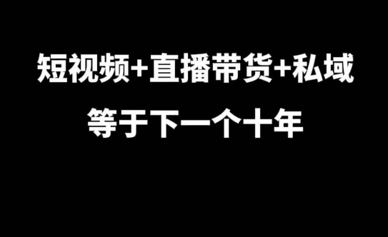 短视频+直播带货+私域等于下一个十年，大佬7年实战经验总结-网赚36计