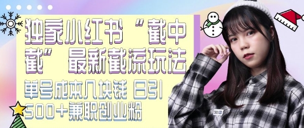 最新小红书截流玩法 独家截中截 单号成本几块钱 日引500+CY粉JZ粉-网赚36计