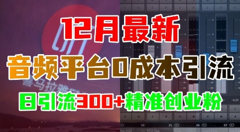 12月最新：音频平台0成本引流，日引流300+精准创业粉-网赚36计