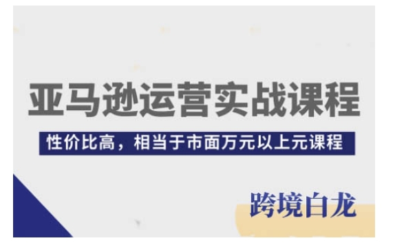 亚马逊运营实战课程，亚马逊从入门到精通，性价比高，相当于市面万元以上元课程-网赚36计