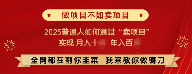 必看，做项目不如卖项目，2025普通人如何通过“卖项目”实现月入十个，年入百个-网赚36计