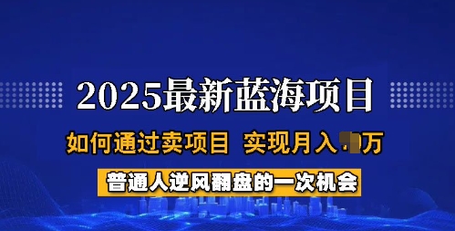 2025蓝海项目，普通人如何通过卖项目，实现月入过W，全过程【揭秘】-网赚36计