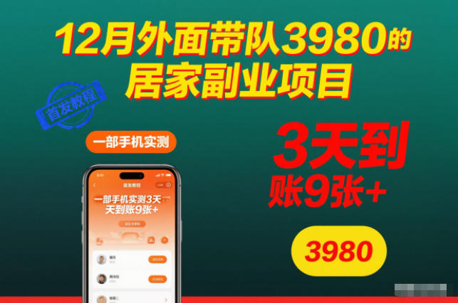 12月外面带队3980的居家副业项目，一部手机实测3天到账9张+，首发教程【揭秘】-网赚36计