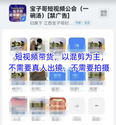 宝子哥头部团队短视频带货，以混剪为主，不需要真人出镜，不需要拍摄【更新11月】-网赚36计
