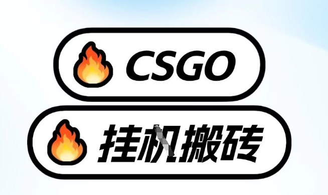 真全网独家CSGO挂G，最新玩法,单日捡漏1K+，不用电脑，不用打游戏【揭秘】-网赚36计