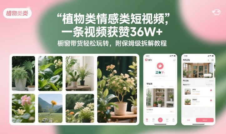 植物类情感类短视频，一条视频获赞36W+，橱窗带货轻松玩转，附保姆级拆解教程-网赚36计