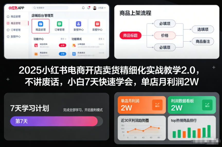 2025小红书电商开店卖货精细化实战教学2.0，不讲废话，小白7天快速学会，单店月利润2W-网赚36计
