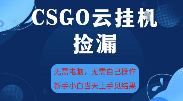CSGO云挂G全自动捡漏，最新独家玩法，无需电脑操作，新手小白日入5张+【揭秘】-网赚36计