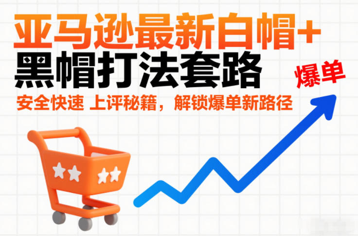 亚马逊最新白帽+黑帽打法套路，安全快速上评秘籍，解锁爆单新路径-网赚36计