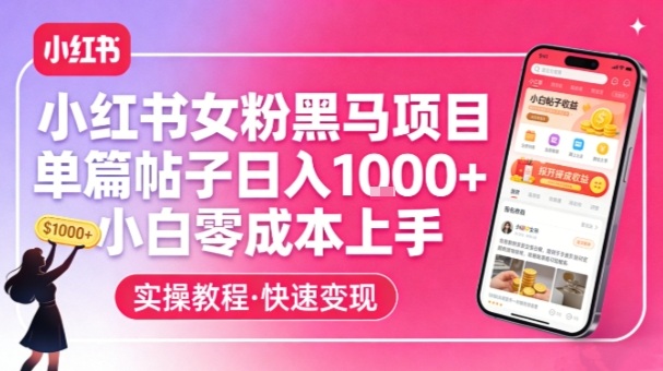 小红书女粉黑马项目，单篇帖子日入1k+，小白零成本上手-网赚36计