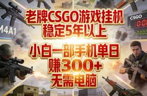 老牌CSGO游戏挂G，稳定5年以上，小白一部手机单日賺3张+，无需电脑【揭秘】-网赚36计