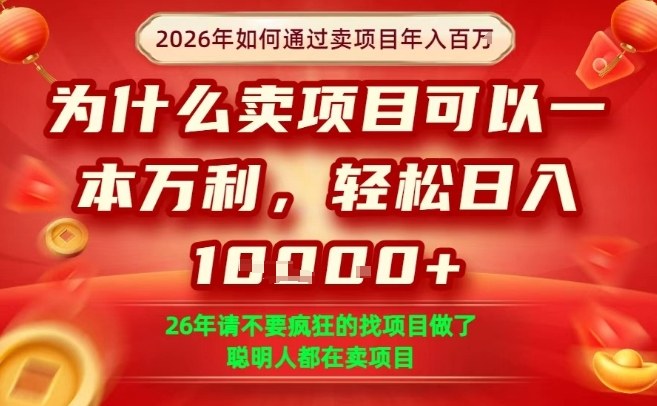 一单净利润1K+，26年想年入100个W，死磕卖项目就够了【揭秘】-网赚36计