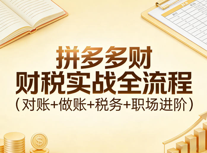 拼多多财税实战全流程(对账+做账+税务+职场进阶)-网赚36计