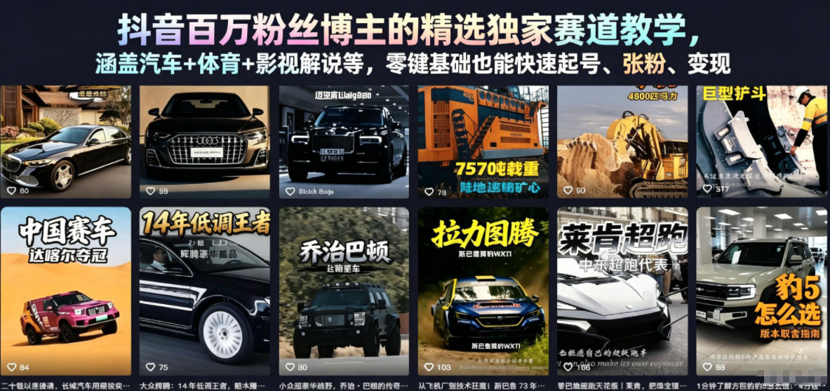 抖音百万粉丝博主的精选独家赛道教学，涵盖汽车+体育+影视解说等，零基础也能快速起号、涨粉、变现-网赚36计