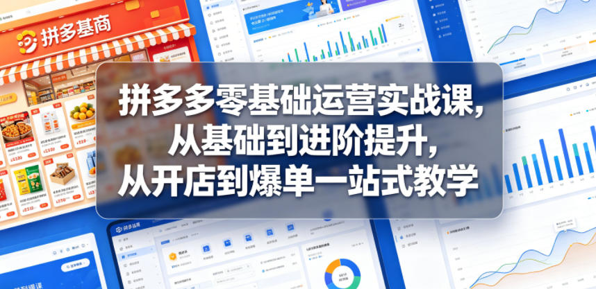 拼多多零基础运营实战课，从基础到进阶提升，从开店到爆单一站式教学-网赚36计