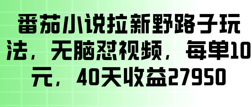 番茄小说拉新野路子玩法,无脑怼视频,玩法简单、见效快,每单10米,40天收益27950-网赚36计