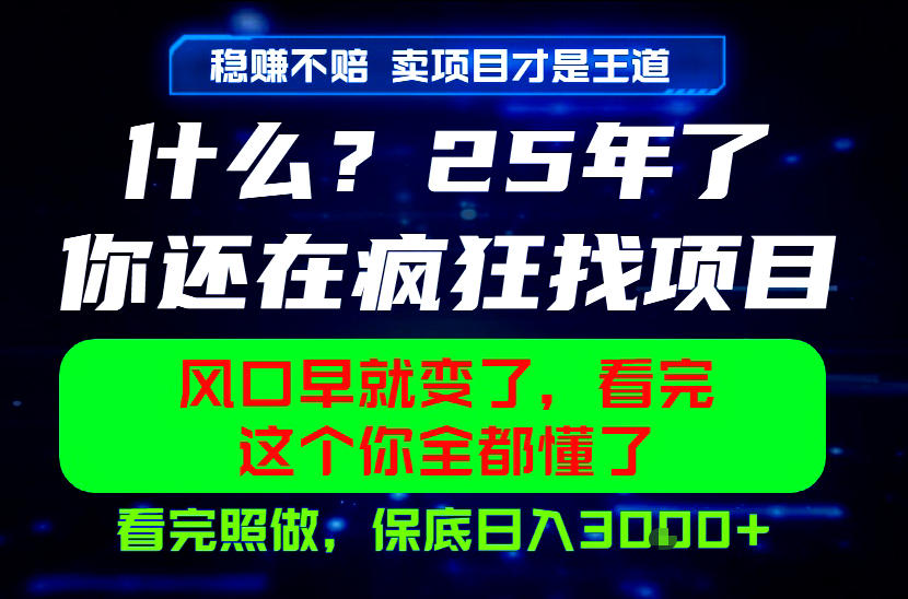 26年,请不要疯狂的找项目做了!卖项目才是真的稳賺不赔,看完照做,保底日入1k+【揭秘】-网赚36计