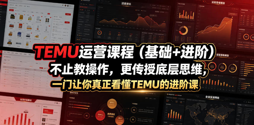 TEMU运营课程（基础+进阶），不止教操作，更传授底层思维，一门让你真正看懂TEMU的进阶课-网赚36计
