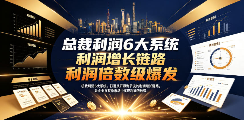 总裁利润6大系统，打通从开源到节流的利润增长链路，让企业在复杂市场中实现利润倍数级爆发-网赚36计