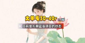 【大羊毛】几分钟30-40r，【流量体联盟】，可以矩阵，操作无脑简单-网赚36计
