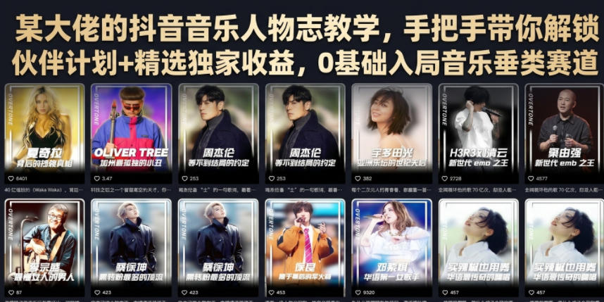 某大佬的抖音音乐人物志教学，手把手带你解锁伙伴计划+精选独家收益，0基础入局音乐垂类赛道-网赚36计