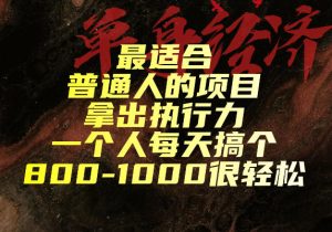 最适合普通人的项目，拿出执行力一个人每天搞个800-1k很轻松【揭秘】-网赚36计