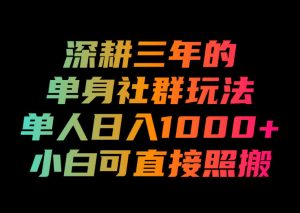 深耕三年的单身社群玩法,单人日入1000+,小白可直接照搬!【揭秘】-网赚36计