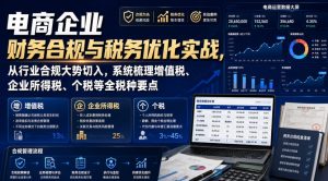 电商企业财务合规与税务优化实战，从行业合规大势切入，系统梳理增值税、企业所得税、个税等全税种要点-网赚36计