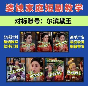 婆媳家庭AI短剧全套教学丨起号快，热门吸引女性粉丝，商单广告、橱窗带货、收徒裂变、伙伴分成等-网赚36计