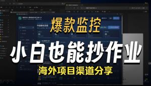 抖音爆款数据监控工具_海外网盘拉新渠道-网赚36计