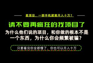为什么做项目的人大多都是炮灰?为什么只有卖项目才能稳?看完你也可以月入10W+【揭秘】-网赚36计