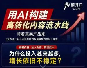 小红书AI内容生产2026年线下课完整现场还原版，用AI构建高转化内容流水线-网赚36计