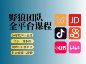 野狼团队2026新版全平台短视频带货教学，打开流量突破口，开始Ai带货（更新0903）-网赚36计